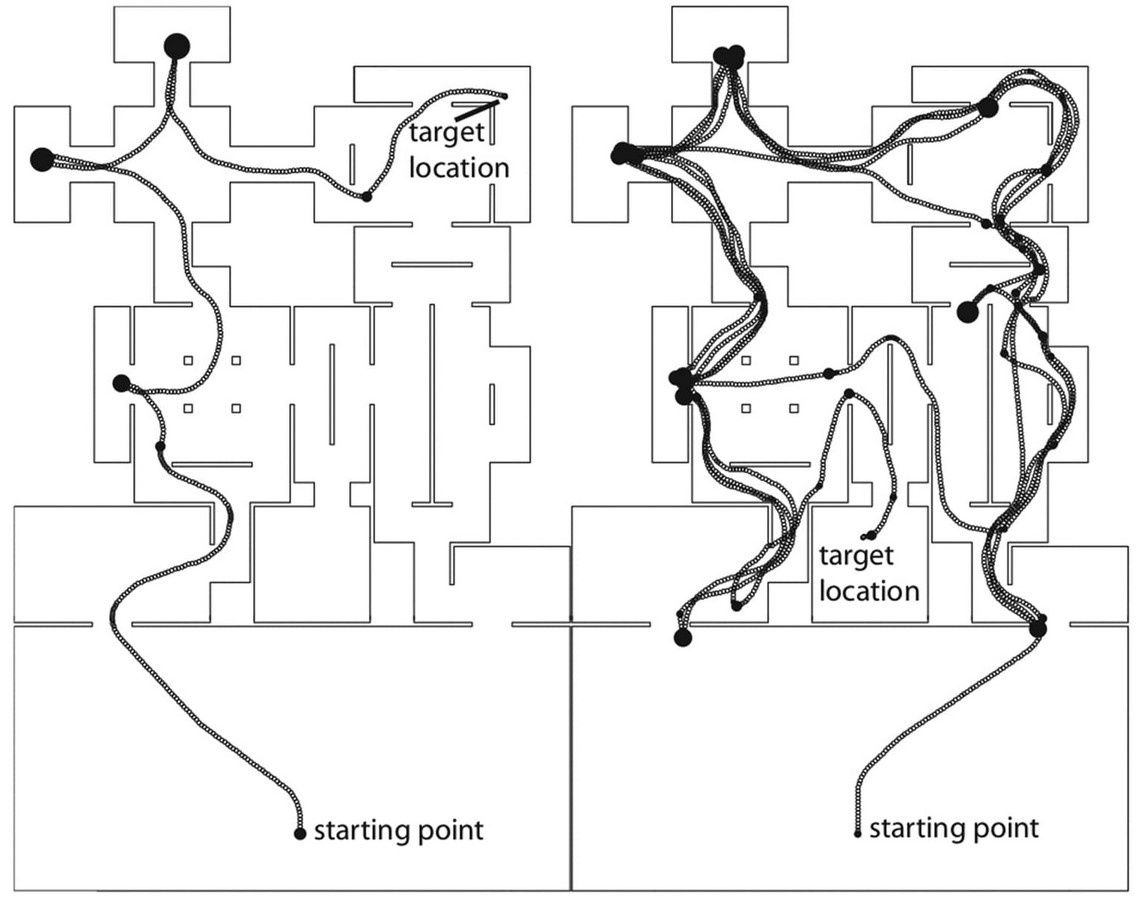 Orientation and Way-finding - Sheet1