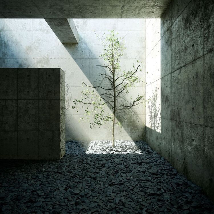 Chichu Art Museum by Tadao Ando Art museum in the Earth (Snehal Vyawahare) Sheet3