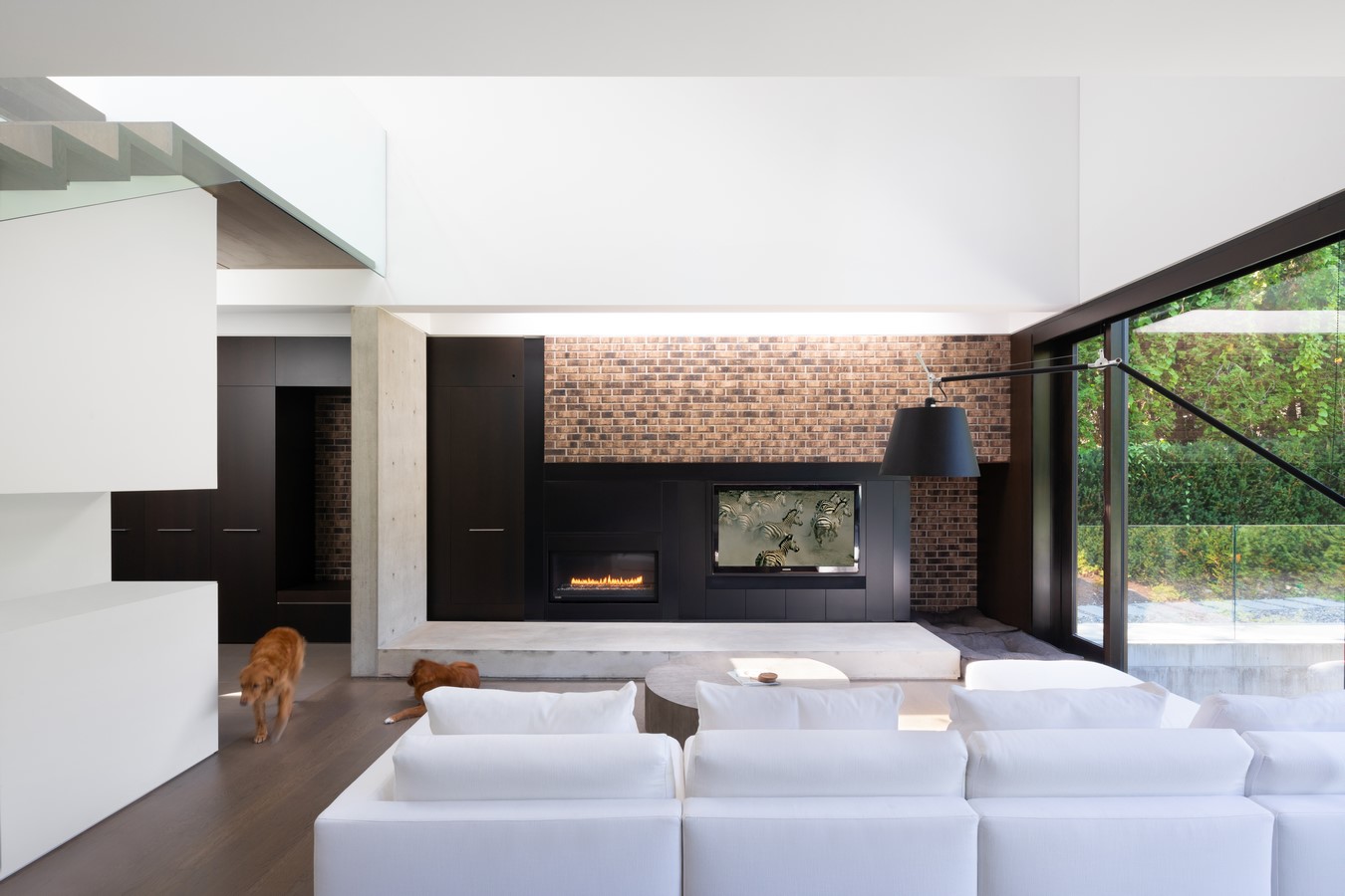 Lui House by D'Arcy Jones Architects - Sheet1