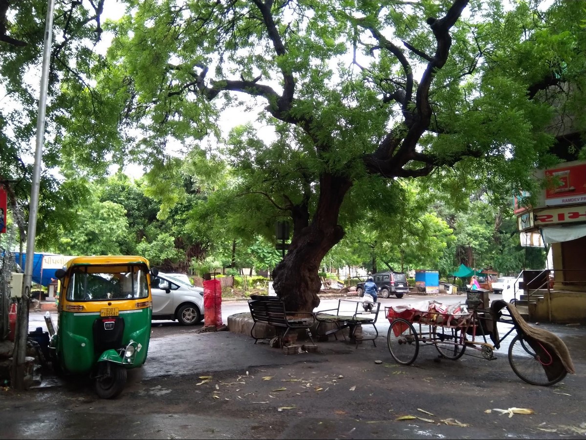 Mithakhali gam in Ahmedabad Understanding community living - Sheet2