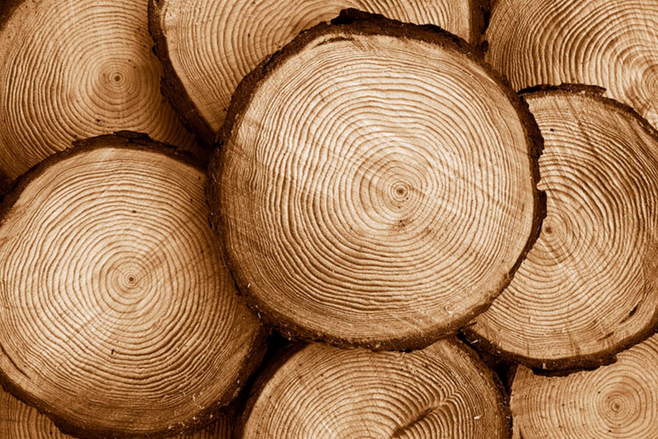 10 Things you did not know about shou sugi ban - Sheet2