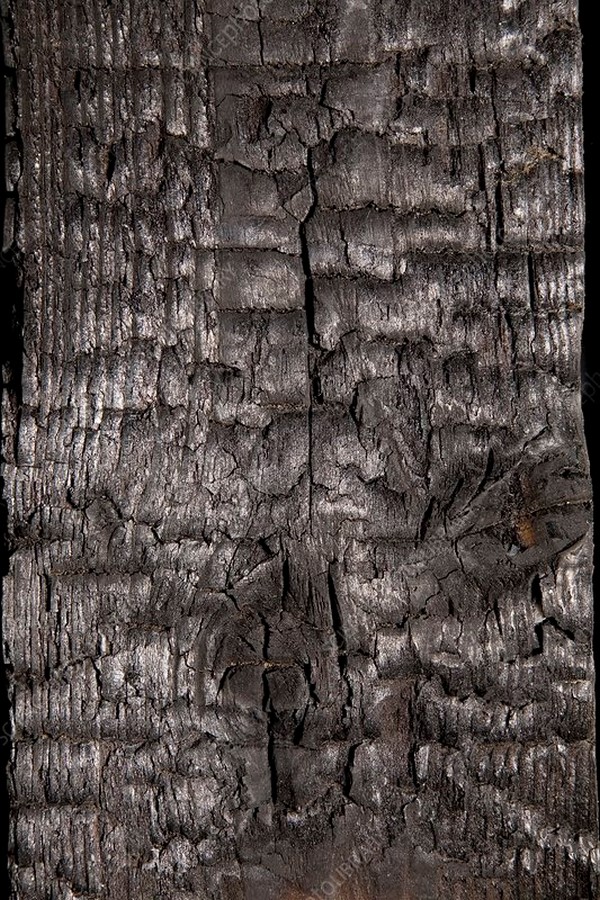 10 Things you did not know about shou sugi ban - Sheet6