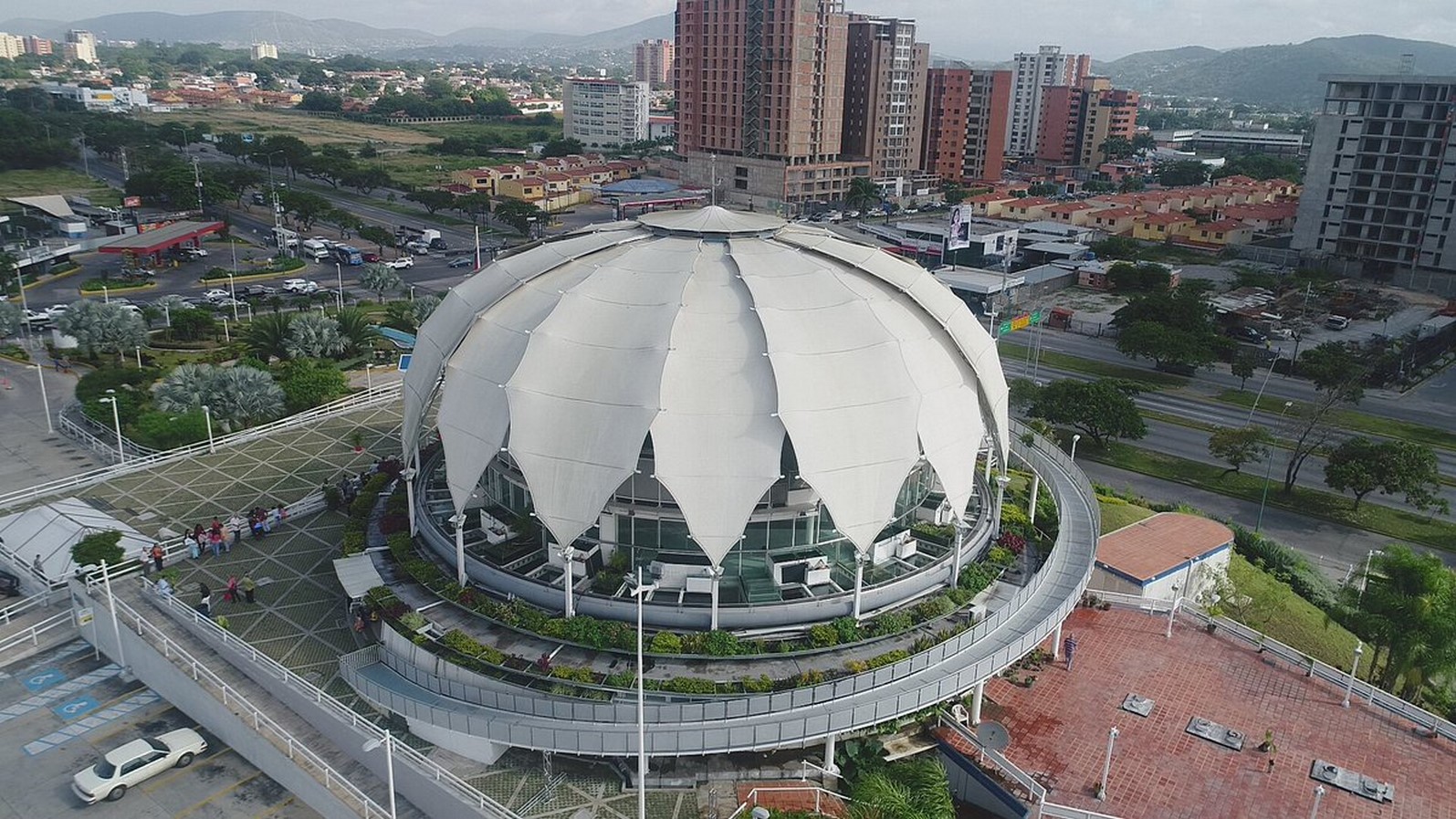 Flor de Venezuela en Barquisimeto, Venezuela - Sheet1