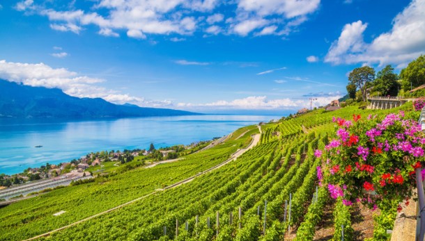 Places to visit in Vevey for the Travelling Architect - Sheet2