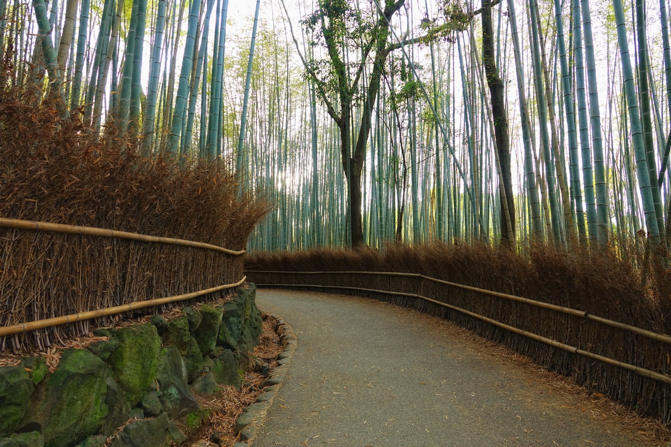 Alternative Materials: Polymer-bamboo Reinforced Concrete - Sheet1