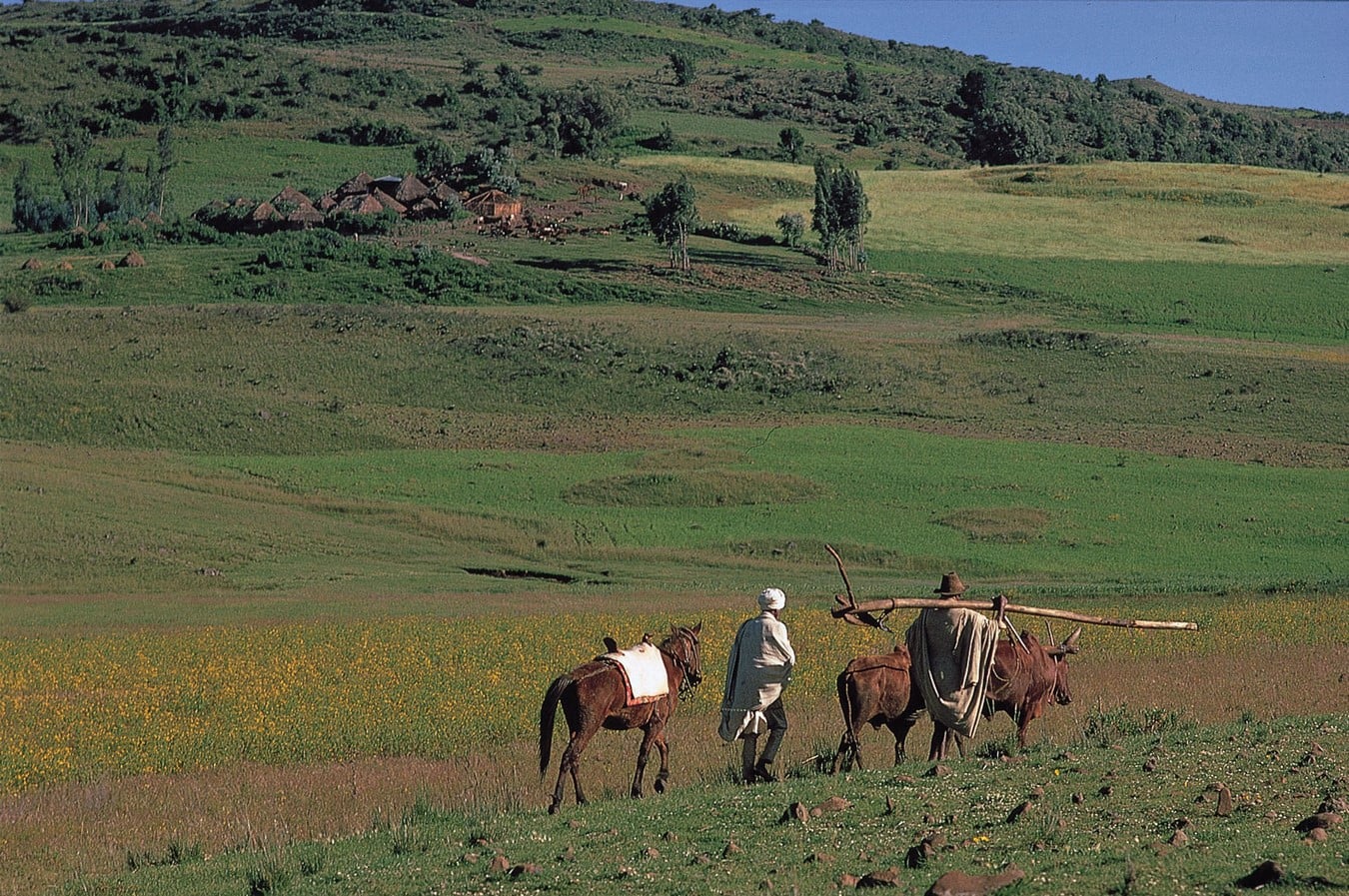 10 things to remember while designing in Ethiopia - Sheet4