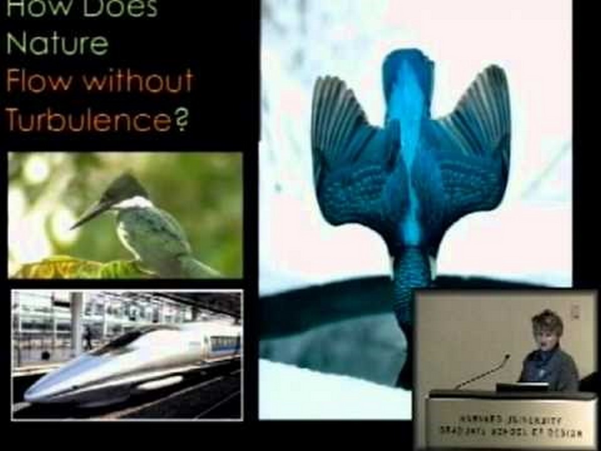Theory in Architecture: Biomimetic architecture - Sheet1