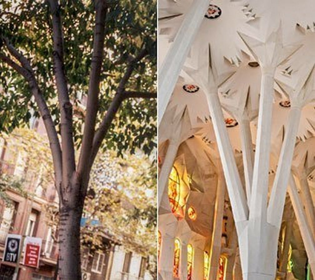 Theory in Architecture: Biomimetic architecture - Sheet3