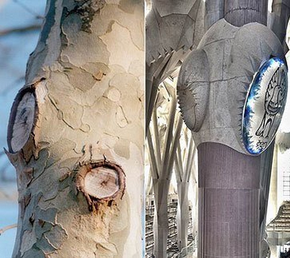 Theory in Architecture: Biomimetic architecture - Sheet4