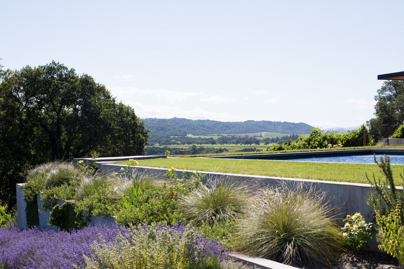 Shrubs and Groundcover - sheet1