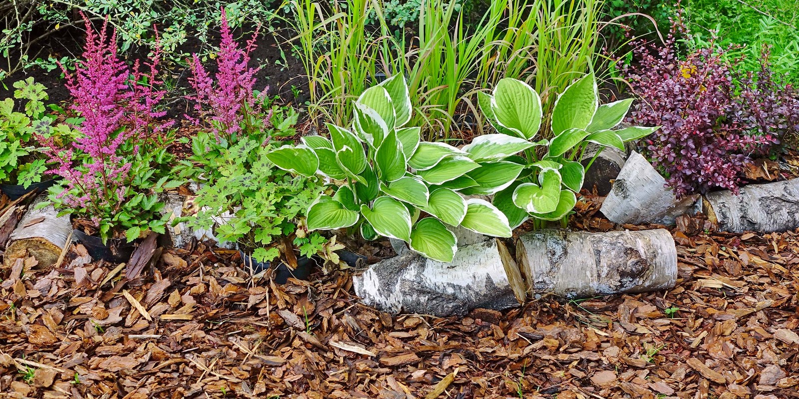 Mulch - Sheet2