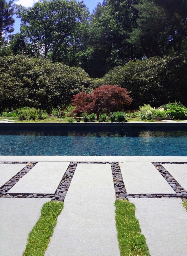 Shrubs and Groundcover - sheet3