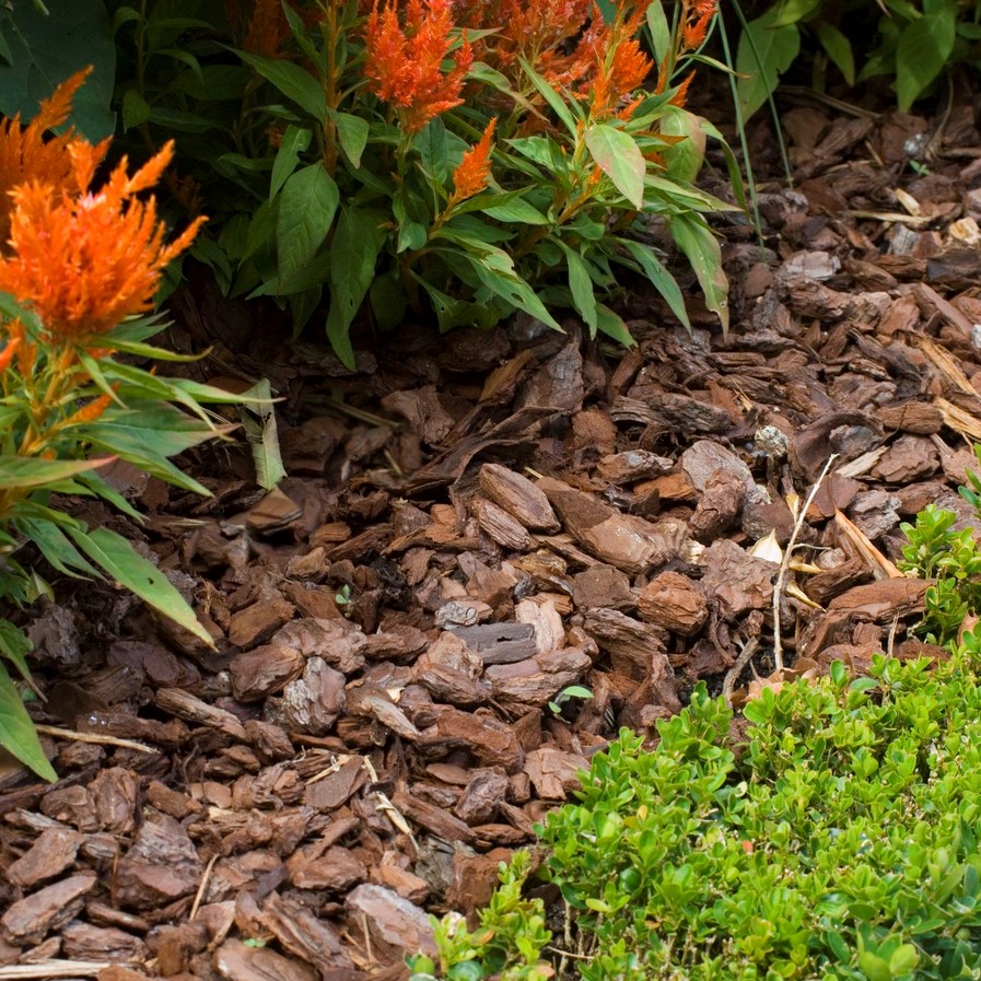 Mulch - Sheet3