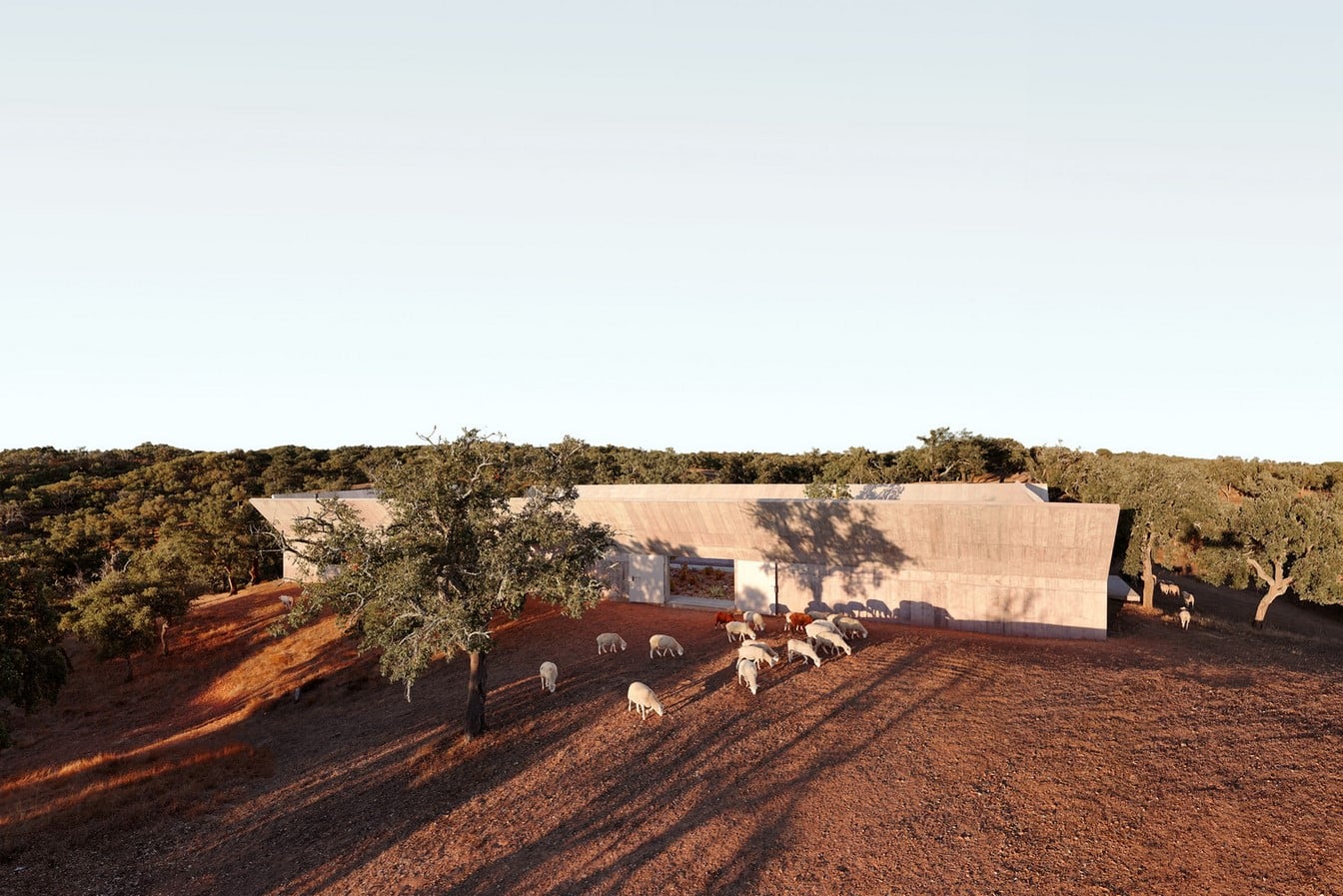 Valerio Olgiati- 12 Iconic Projects