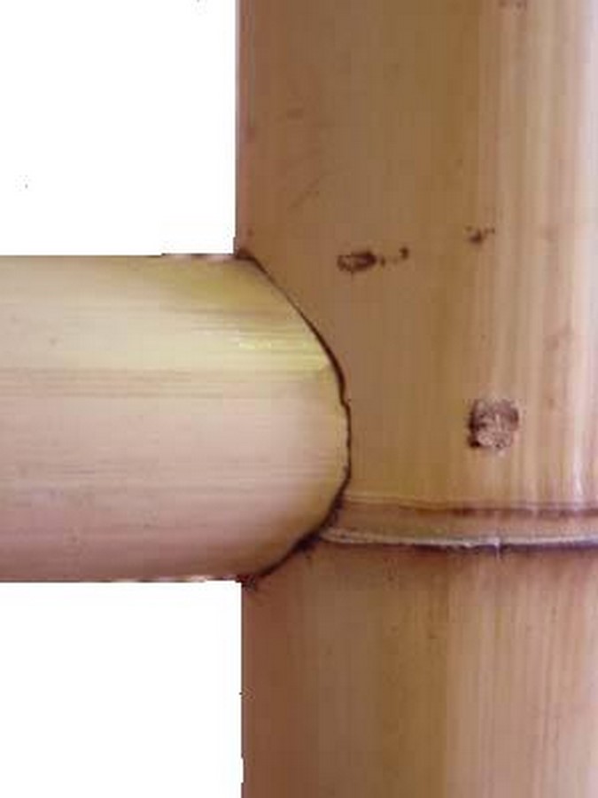 Bamboo Construction - Sheet2