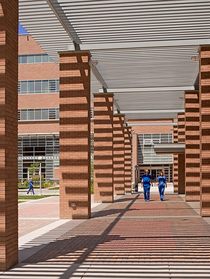 NAC Architecture- 15 Iconic Projects
