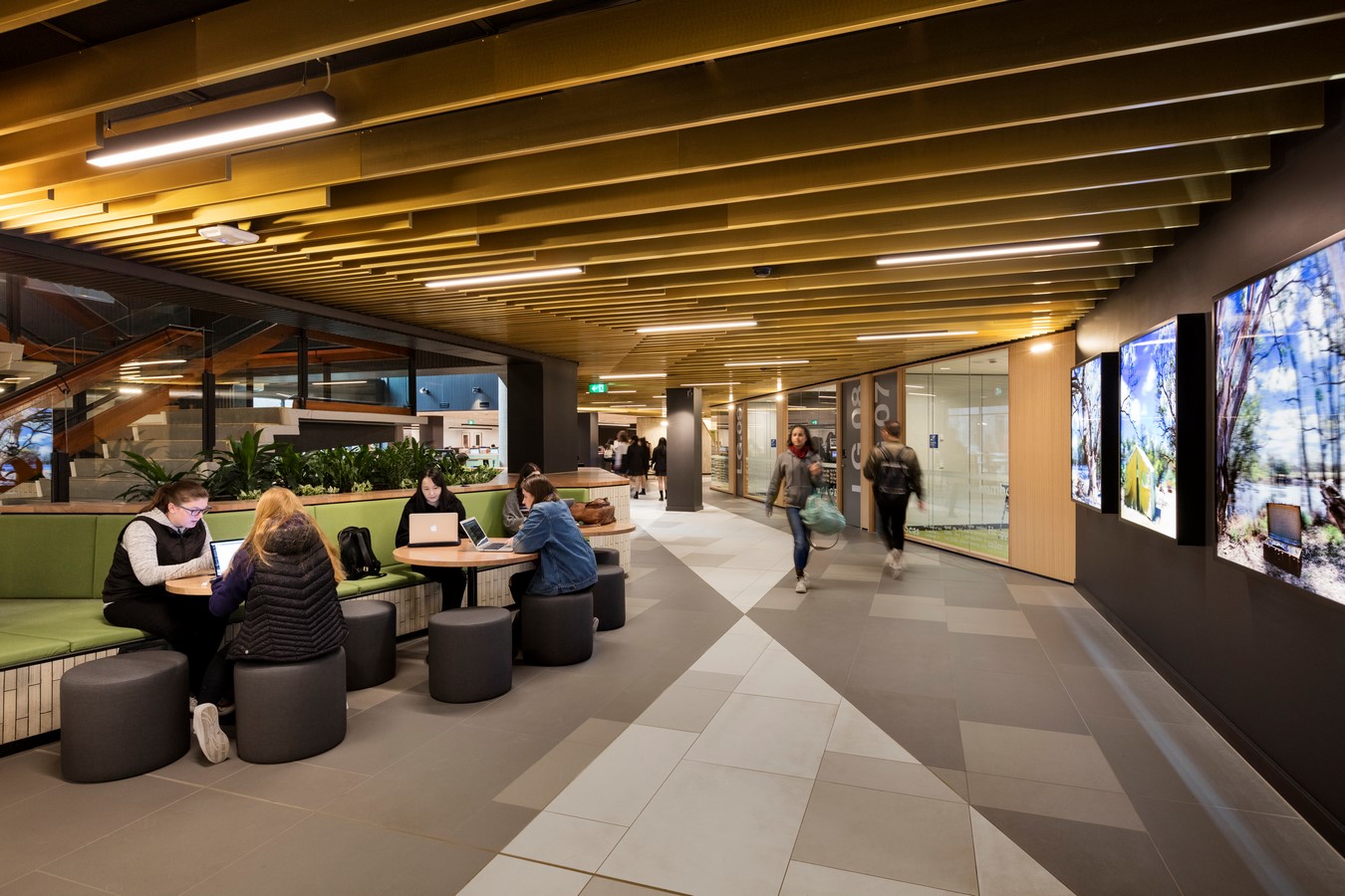 Sir Louis Matheson Library by Cox Architecture - Sheet5