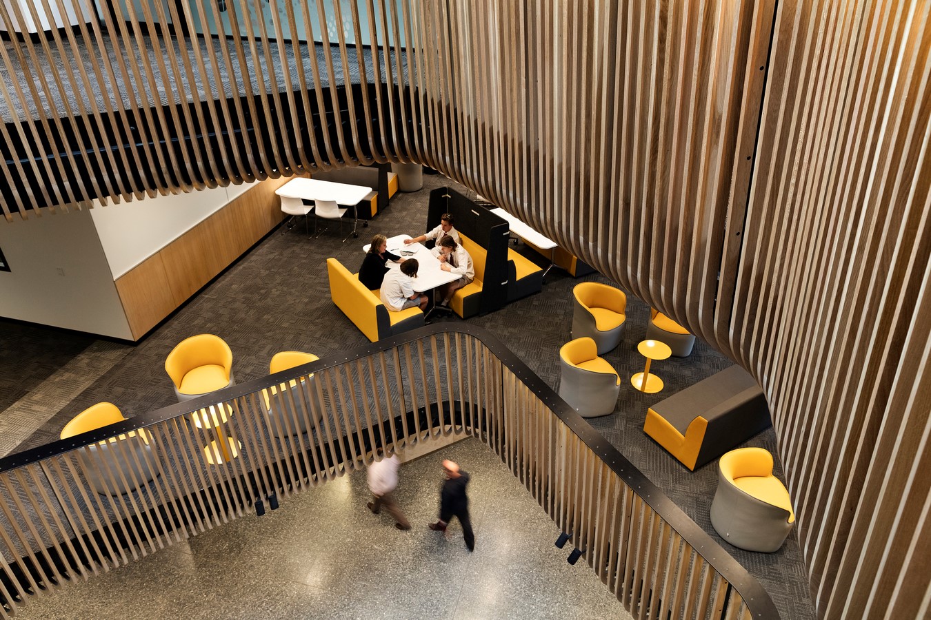Sir Zelman Cowen Centre for Science by Cox Architecture - Sheet7