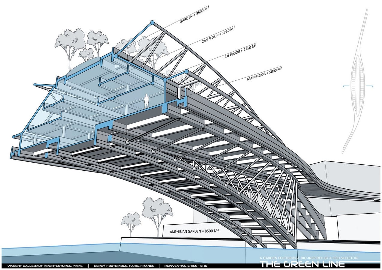 Design For Garden Footbridge Bio-Inspired By Fish Skeleton revealed by Vincent Callebaut Architectures - Sheet3