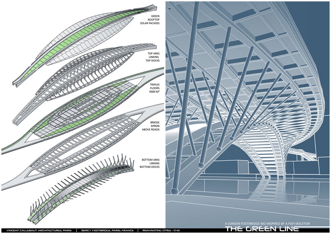 Design For Garden Footbridge Bio-Inspired By Fish Skeleton revealed by Vincent Callebaut Architectures - Sheet5