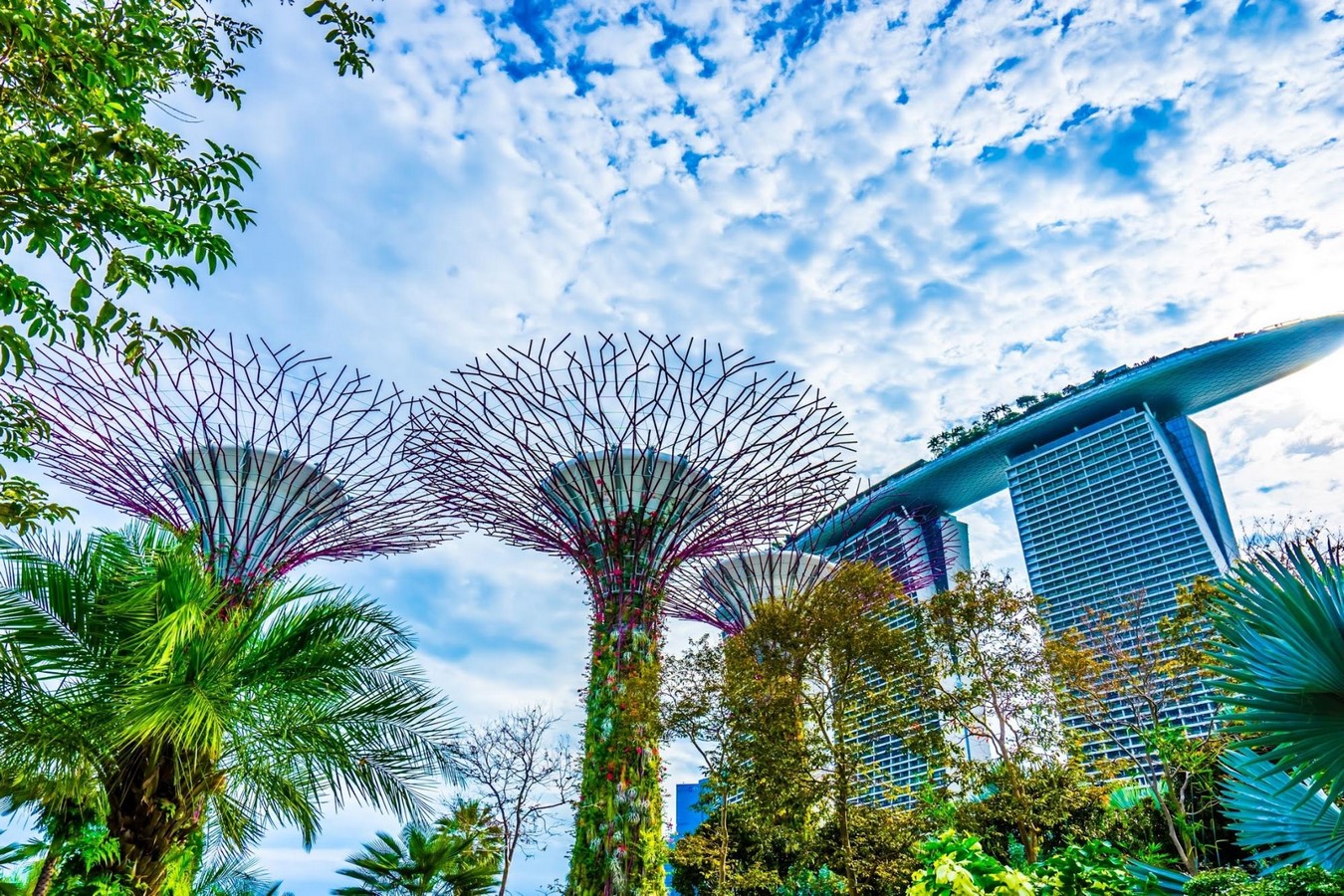 Gardens by the Bay - Sheet1
