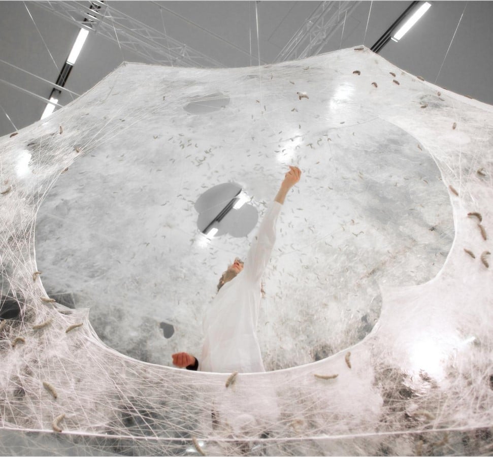 Silk Pavilion - Sheet1