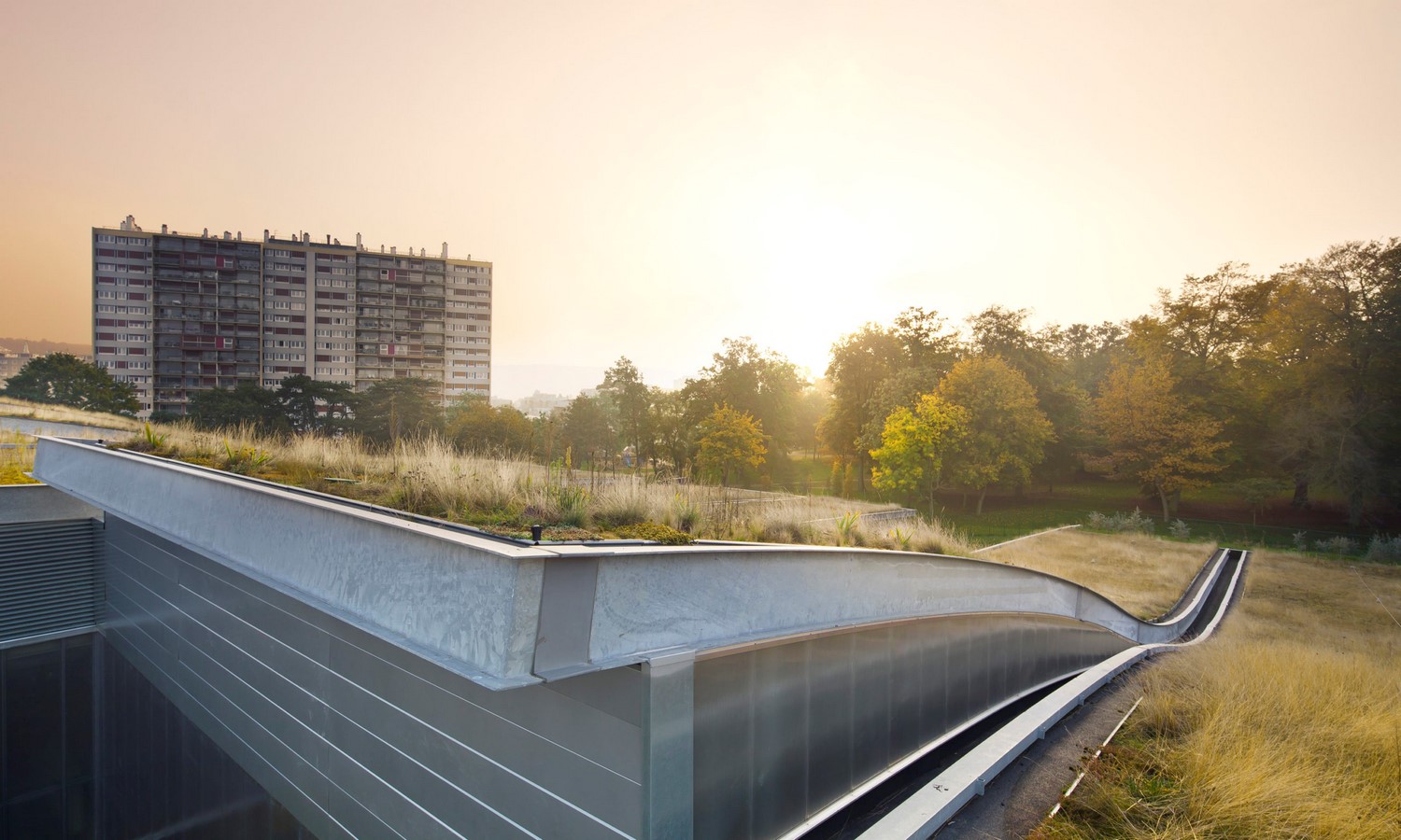 10 things to remember when designing rooftop gardens - Sheet13