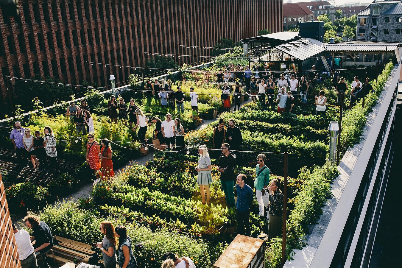 10 things to remember when designing rooftop gardens - Sheet2