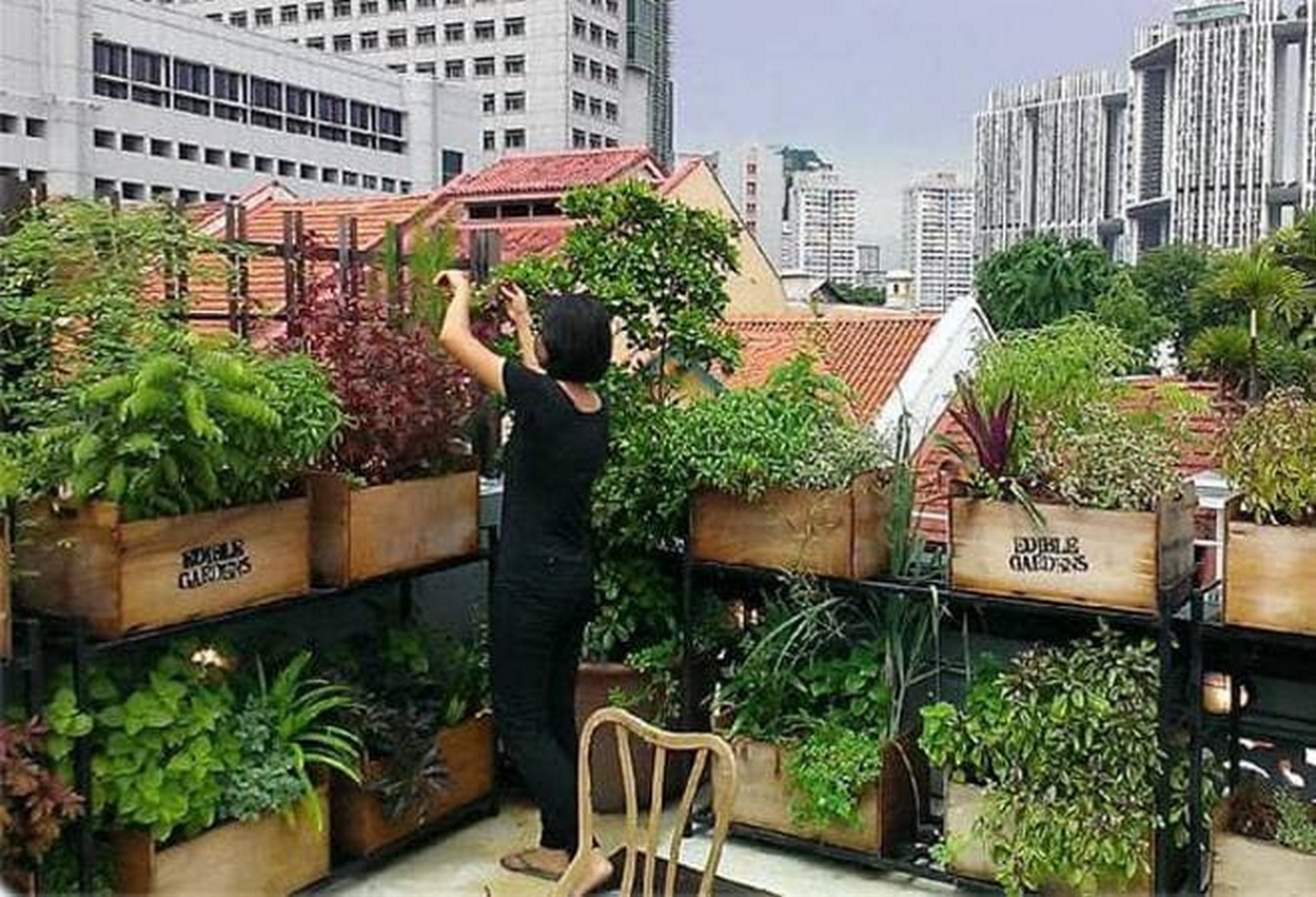 10 things to remember when designing rooftop gardens - Sheet3