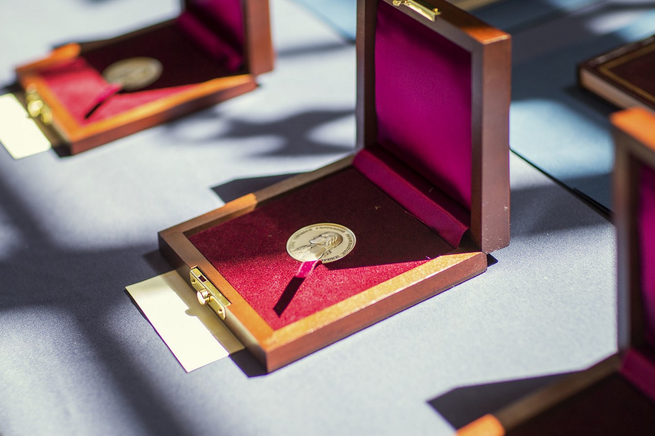 2021 Thomas Jefferson Foundation Medal in Architecture awarded to Francis Kéré - Sheet2
