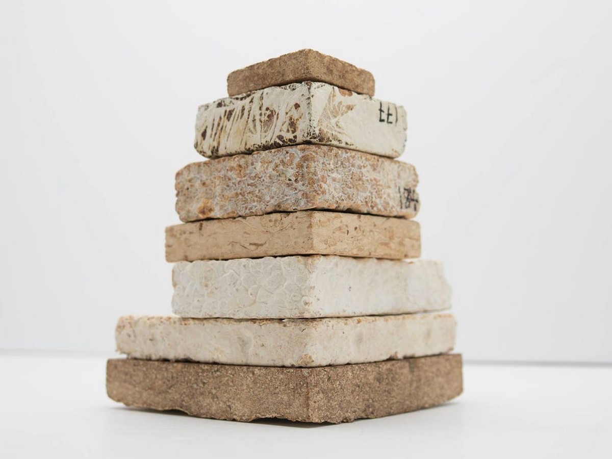 Alternative Materials: Mushroom Mycelium Technology by Mycotech Lab, Indonesia - Sheet4