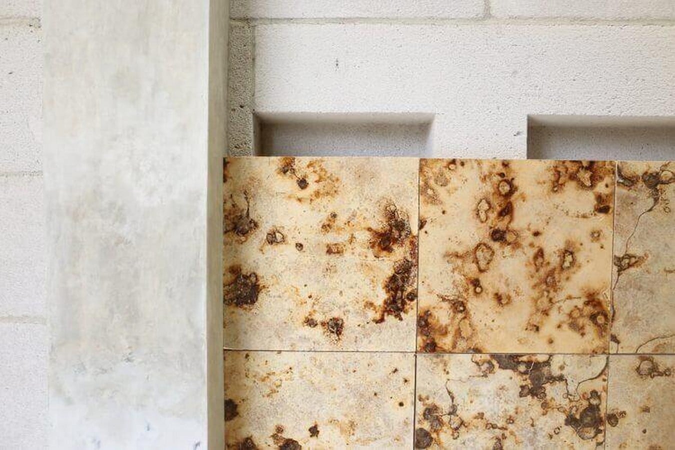 Alternative Materials: Mushroom Mycelium Technology by Mycotech Lab, Indonesia - Sheet5