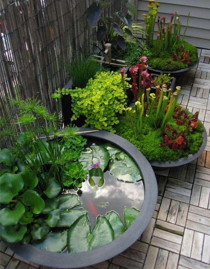 50 Ideas and Tips for Landscaping in an apartment balcony