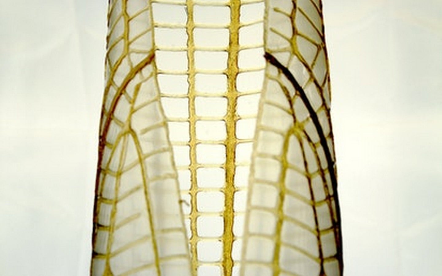 Aguahoja 1 - Sheet5
