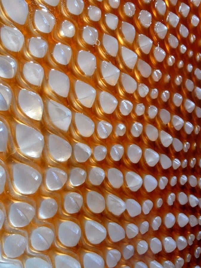 Cartesian wax - Sheet1