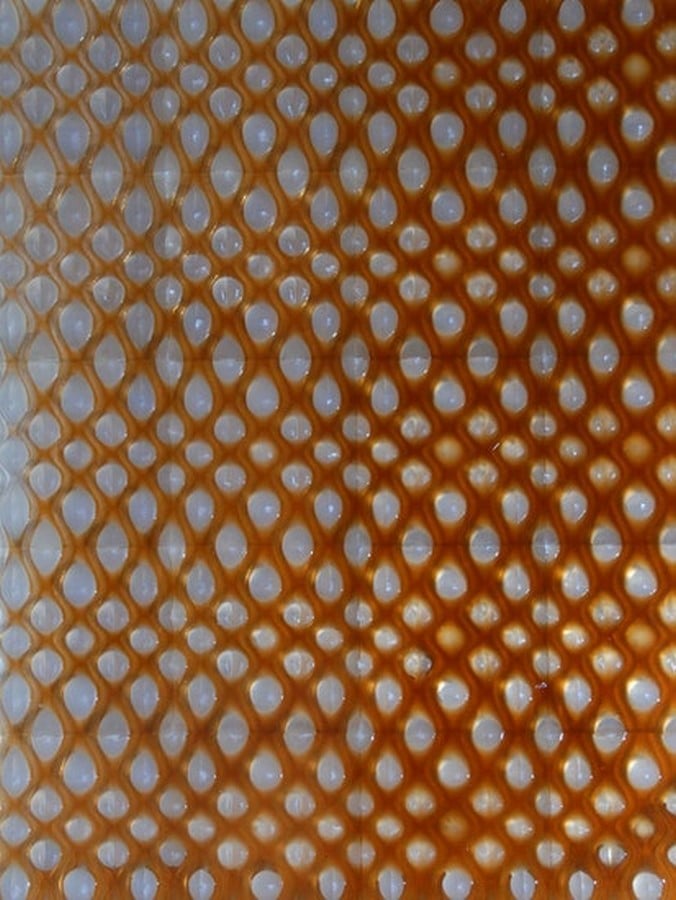 Cartesian wax - Sheet2