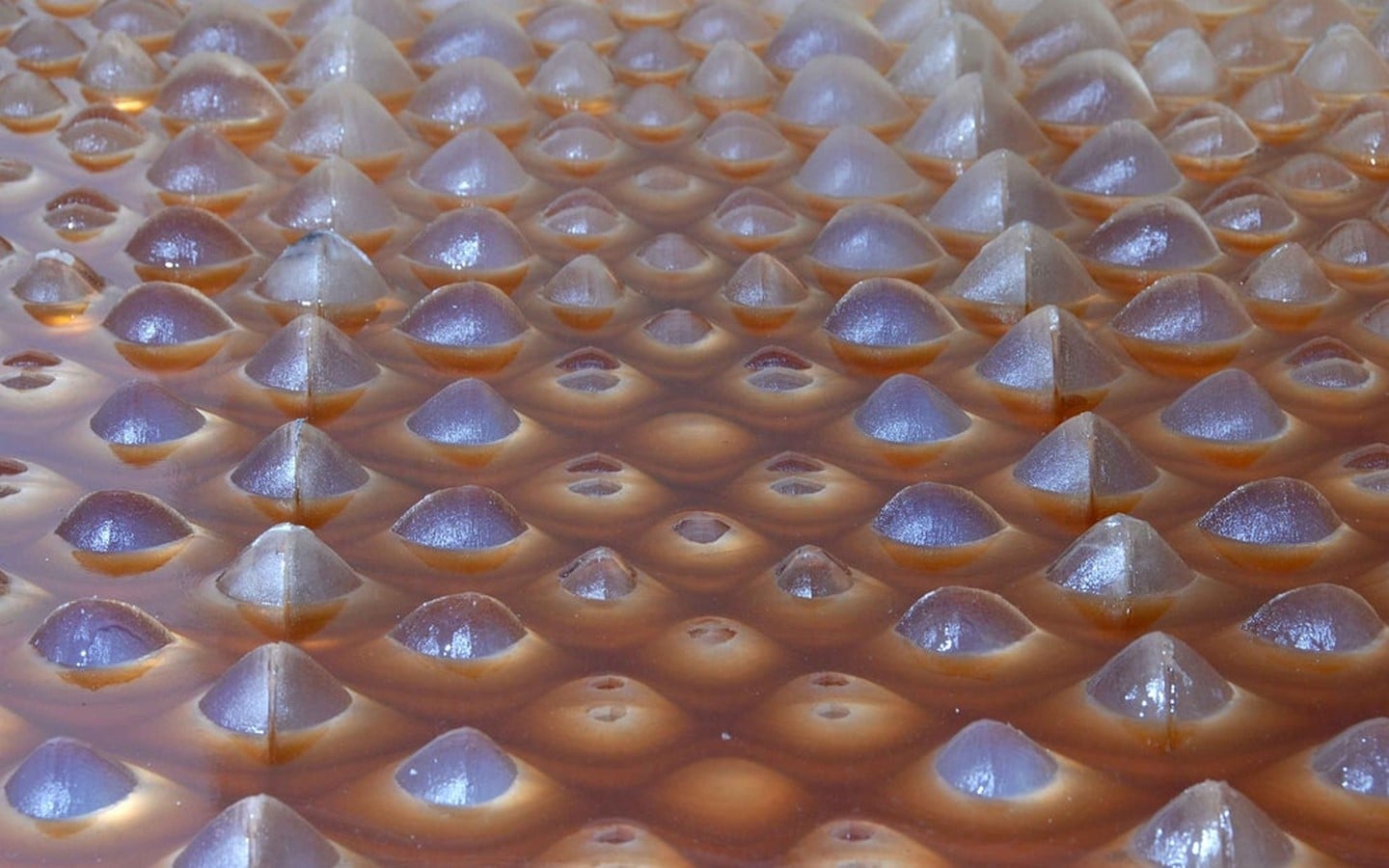 Cartesian wax - Sheet4