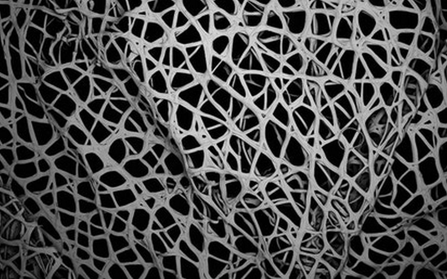 Silk pavilion - Sheet4