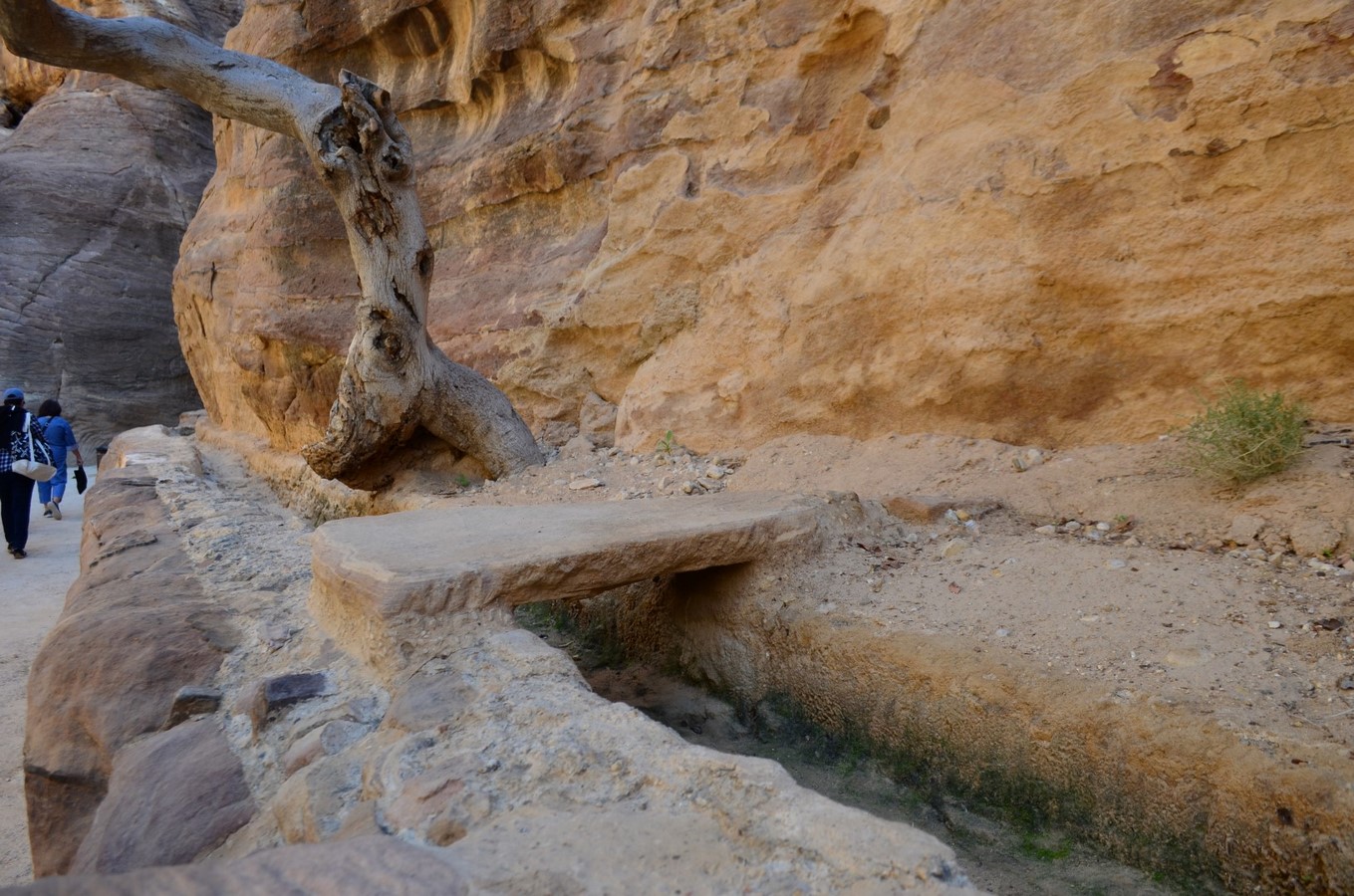 What is the Role of Ancient Cultures in today's Architecture? - Sheet10