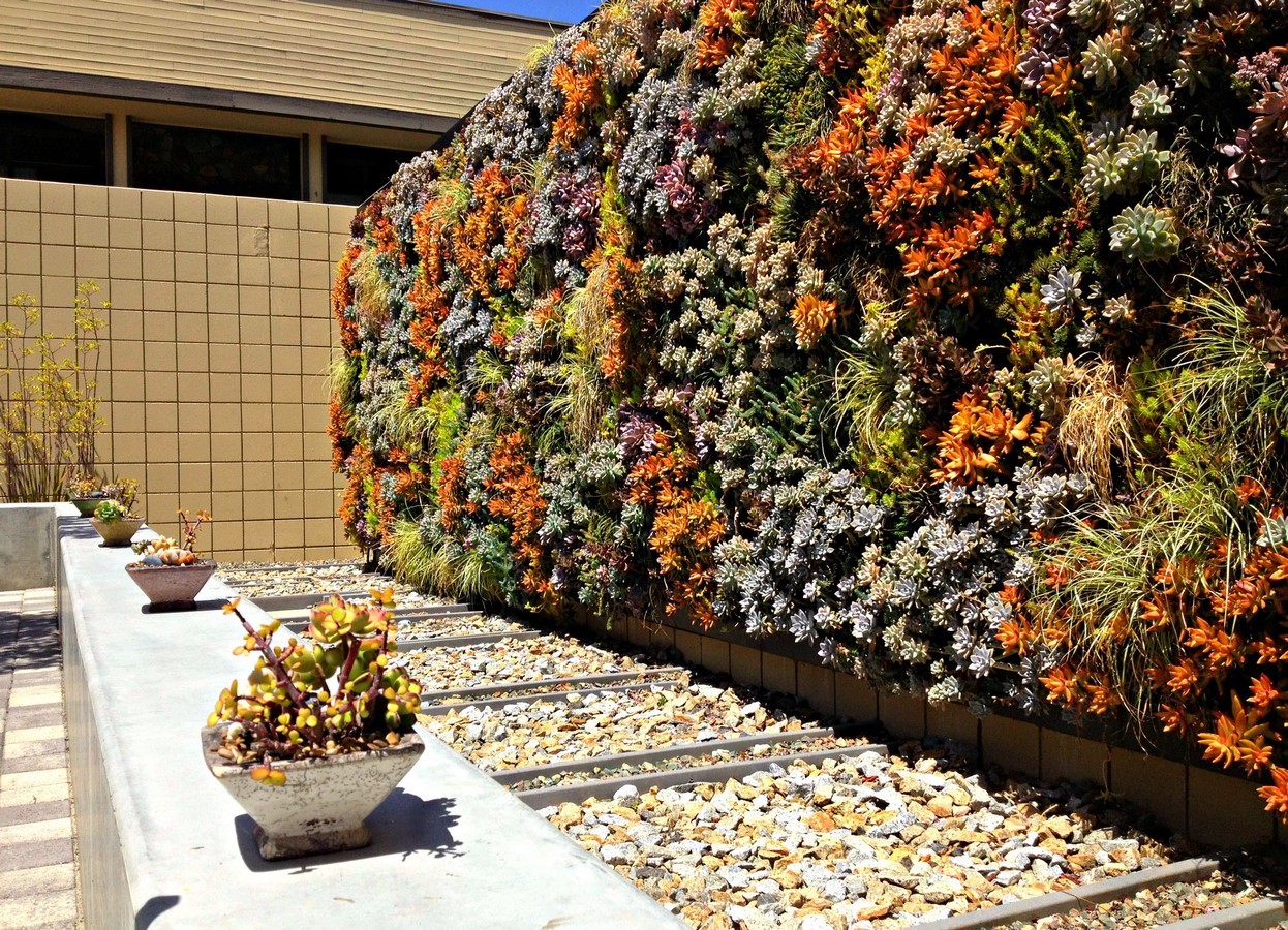 50 Ideas and Tips for L2andscaping - Sheet