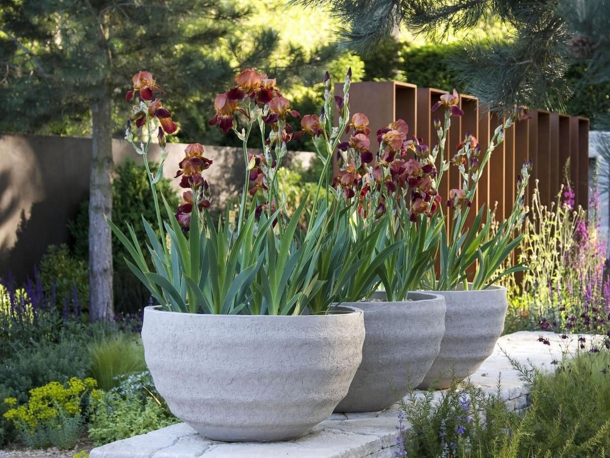 50 Ideas and Tips for Landscaping - Sheet30