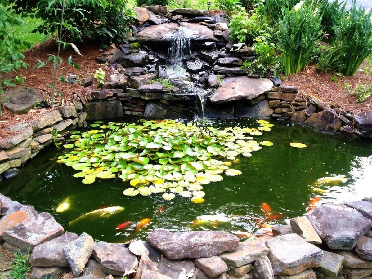50 Ideas and Tips for Landscaping - Sheet6