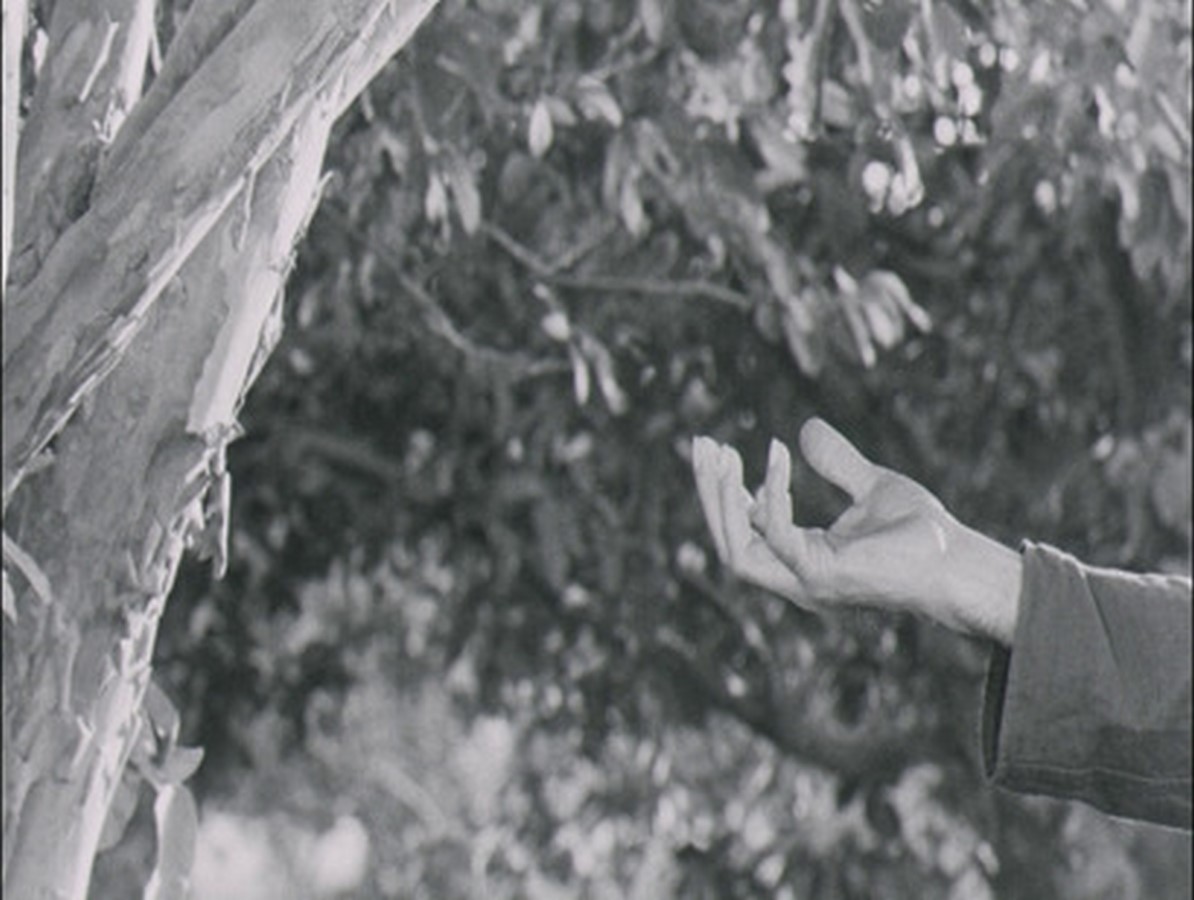 Article in Focus: Improvisation on a Scale: The Cinema of Mani Kaul - Sheet2