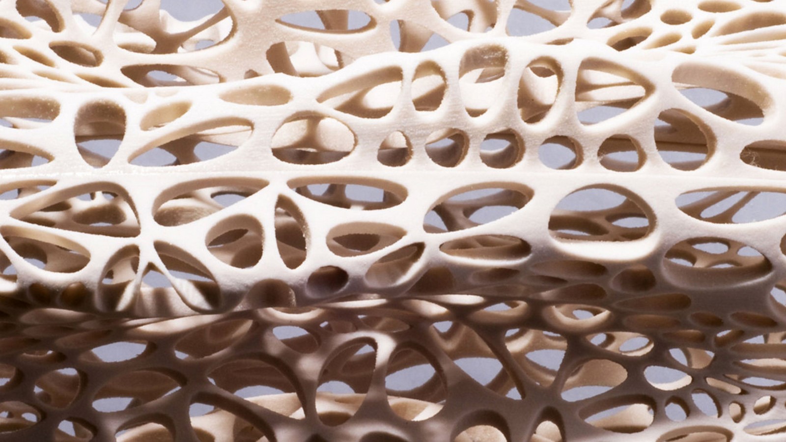 Silk Pavilion by Neri Oxman: Relationship between digital and biological fabrication - Sheet3
