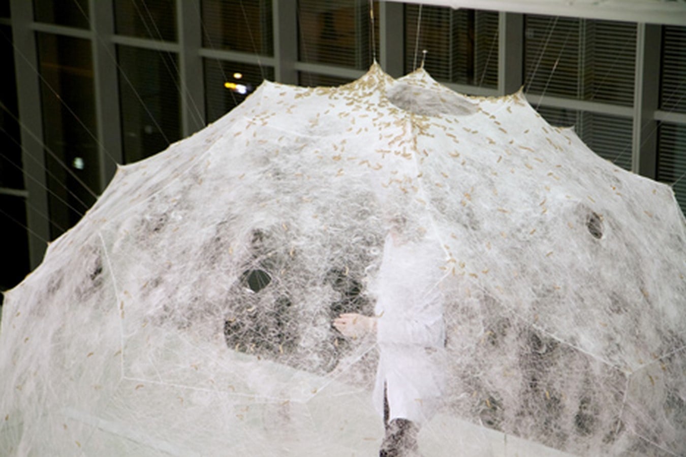 Silk Pavilion by Neri Oxman: Relationship between digital and biological fabrication - Sheet5