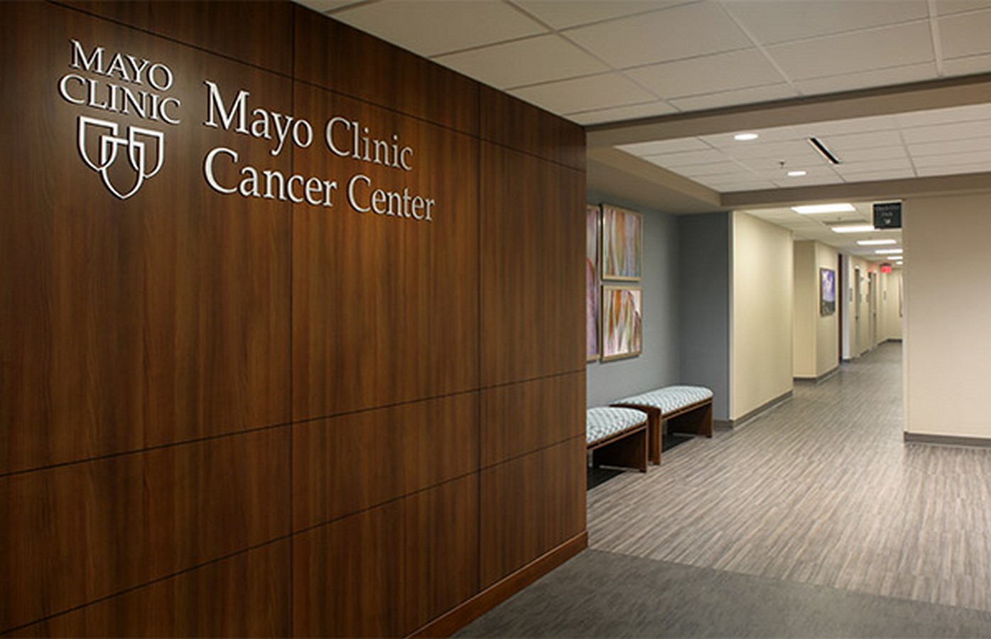 Mayo clinic center_©www.rsandh.com/