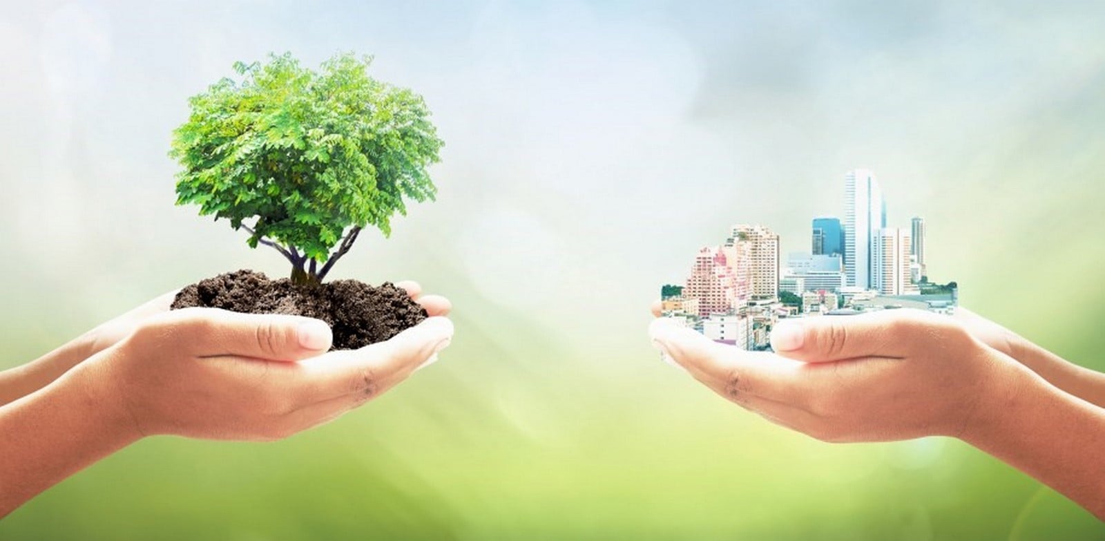 What are the Principles of Urban Sustainability - Sheet2