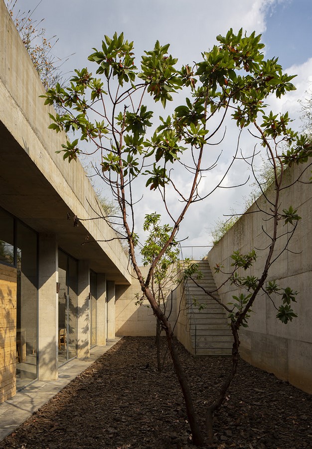 Avocado House by Francisco Pardo Arquitecto - Sheet5