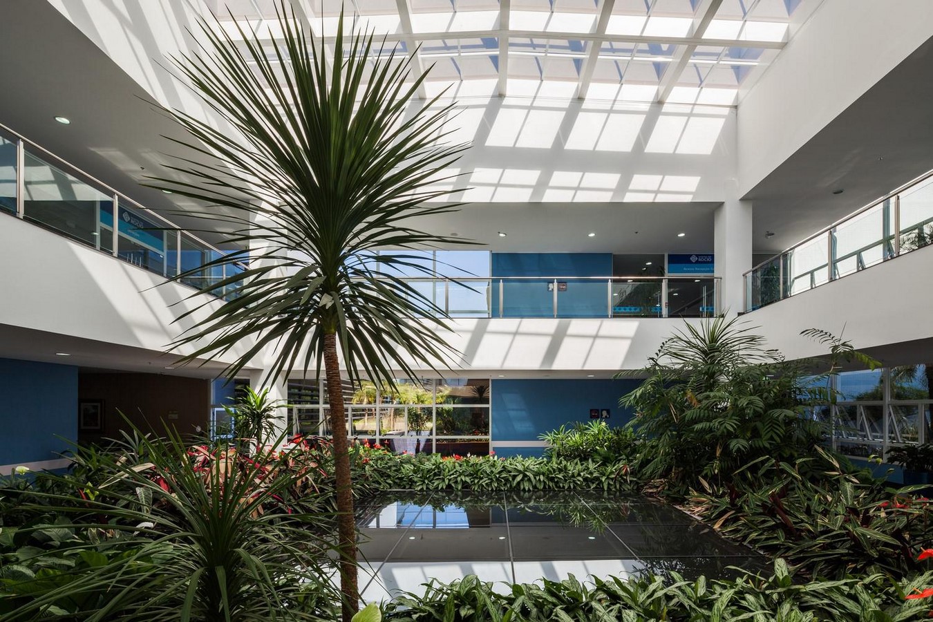 Rocio’s Hospital, Brazil - Sheet2