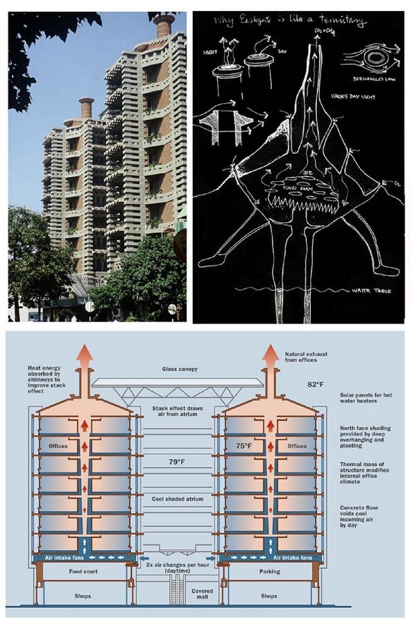 Is Sustainability through biomimicry possible? - Sheet4